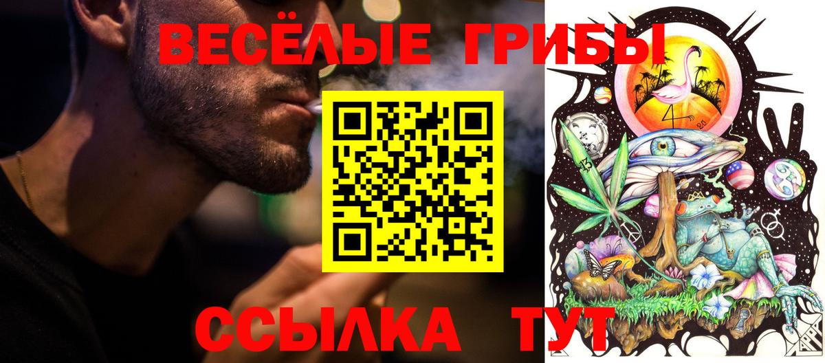 где можно купить   Псилоцибиновые грибы GOLDEN TEACHER  Вход с VPN  Усолье-Сибирское 